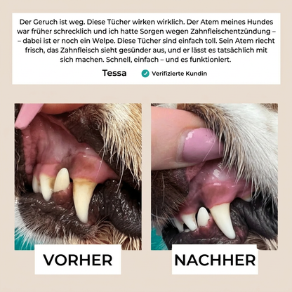 Elarie™ Natural Pet Dental Finger Wipes