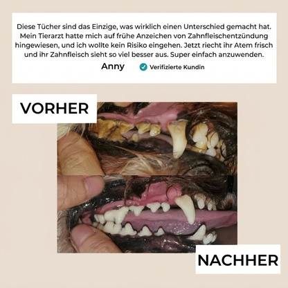 Elarie™ Natural Pet Dental Finger Wipes